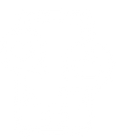 Graphic Designing 50 1